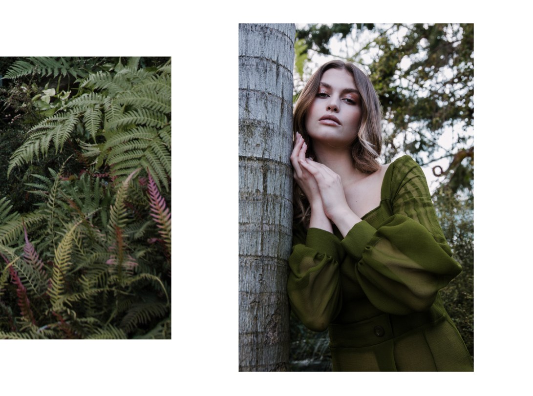 Preview_Fleur_D'hivernage4