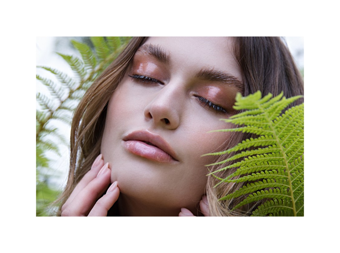 Preview_Fleur_D'hivernage5