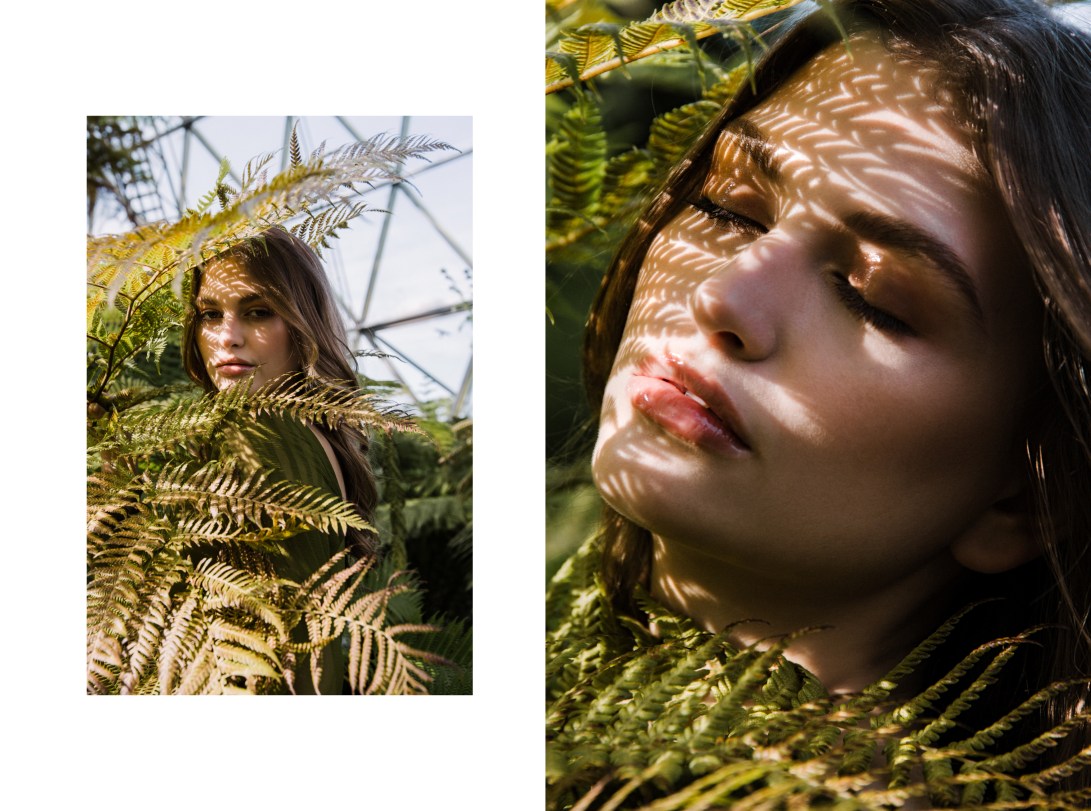 Preview_Fleur_D'hivernage7